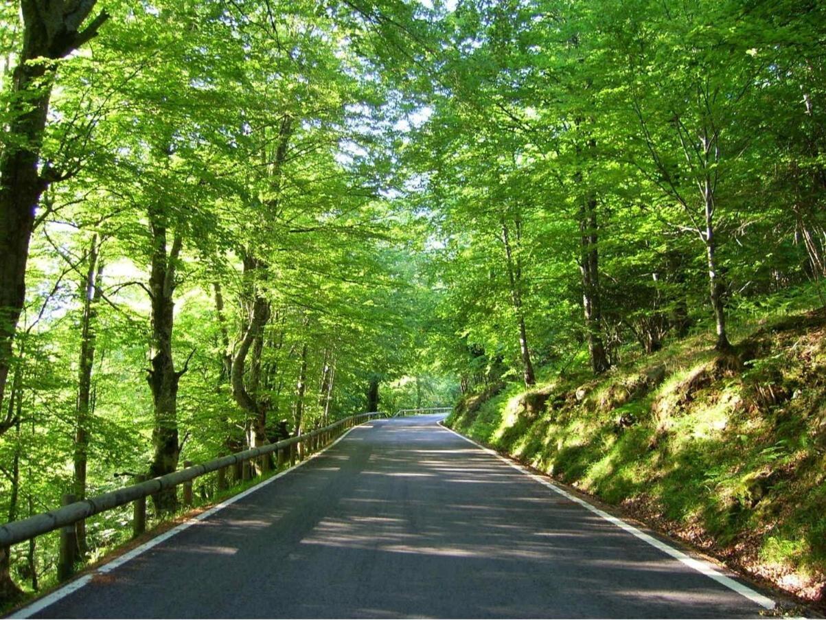 Caborzal Holiday home *